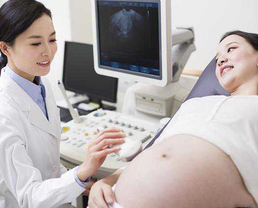 石家庄权威代孕公司,香港抽母血验dna性别有什么要求?原来你不知道的还有这么