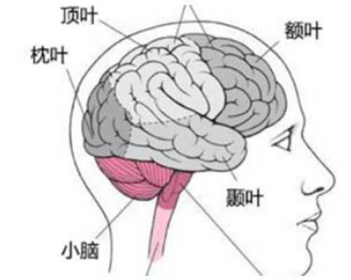 合肥三代供卵试管医院排名与费用解析,助孕选择指南