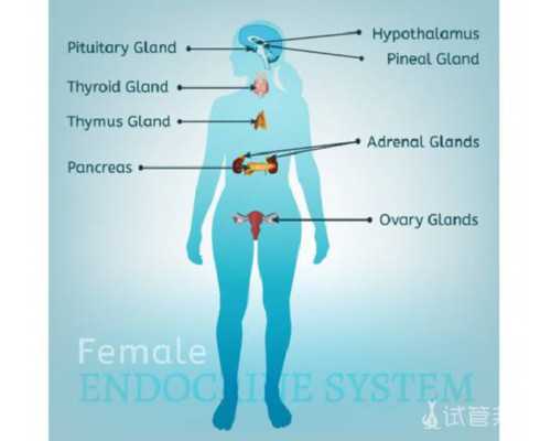 代孕医院服务与供卵助孕指南