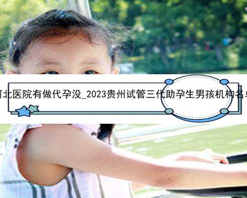 河北医院有做代孕没_2023贵州试管三代助孕生男孩机构